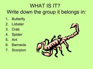 WHAT IS IT?
Write down the group it belongs in:
1. Butterfly
2. Lobster
3. Crab
4. Spider
5. Ant
6. Barnacle
7. Scorpion
 