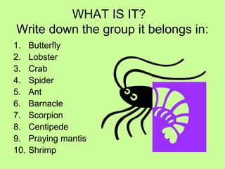 WHAT IS IT?
Write down the group it belongs in:
1. Butterfly
2. Lobster
3. Crab
4. Spider
5. Ant
6. Barnacle
7. Scorpion
8. Centipede
9. Praying mantis
10. Shrimp
 