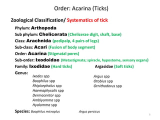 Order: Acarina (Ticks)
Zoological Classification/ Systematics of tick
Phylum: Arthopoda
Sub phylum: Chelicerata (Chelicerae digit, shaft, base)
Class: Arachnida (pedipalp, 4 pairs of legs)
Sub-class: Acari (Fusion of body segment)
Order: Acarina (Stigmatal pores)
Sub-order: Ixodoidae (Metastigmata; spiracle, hypostome, sensory organs)
Family: Ixodidae (Hard ticks) Argasidae (Soft ticks)
Genus:
Species: Boophilus microplus Argus percicus
Argus spp
Otobius spp
Ornithodorus spp
Ixodes spp
Boophilus spp
Rhipicephalus spp
Haemaphysalis spp
Dermacentor spp
Amblyomma spp
Hyalomma spp
3
 