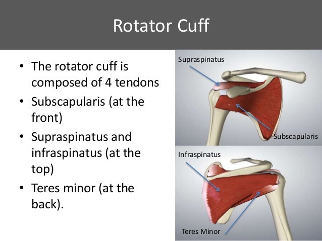 Arthroscopic cuff repair patient information