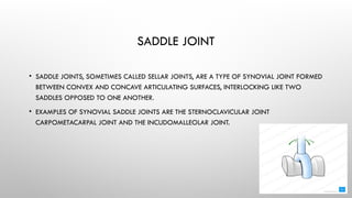 Topic Arthrosyndesmology , vertebrae, joints | PPTX