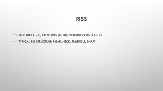 Structural Rib Fillet Topic Arthrosyndesmology , vertebrae, joints | PPTX
