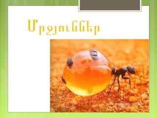 ̸րջյուններ
 