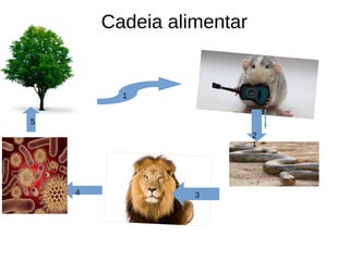 Cadeia alimentar
1
2
1
34
5