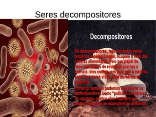 Seres decompositores