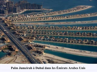 Palm Jumeirah à Dubaï dans les Émirats Arabes Unis   
