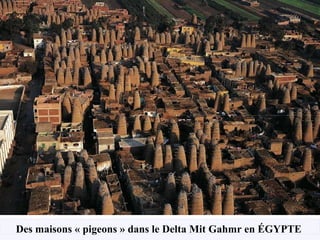 Des maisons « pigeons » dans le Delta Mit Gahmr en ÉGYPTE   