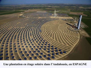 Une plantation en étage solaire dans l’Andalousie, en ESPAGNE   
