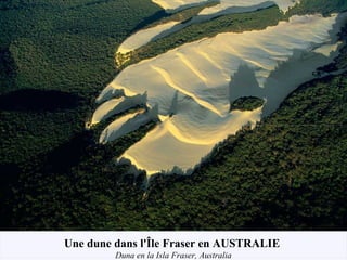Une dune dans l'Île Fraser en AUSTRALIE
Duna en la Isla Fraser, Australia
 