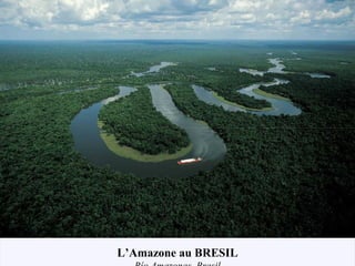 L’Amazone au BRESIL
 