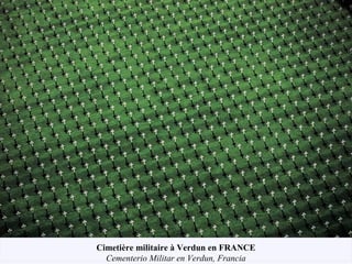 Cimetière militaire à Verdun en FRANCE
Cementerio Militar en Verdun, Francia
 