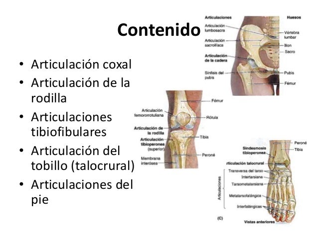 Quitar la red venosa en los pies