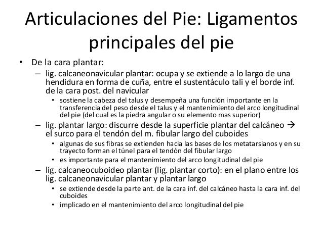 Hhh con los pequeños miembros