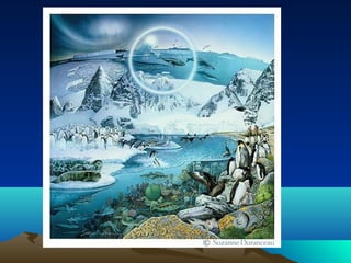 Ártica e Antártica