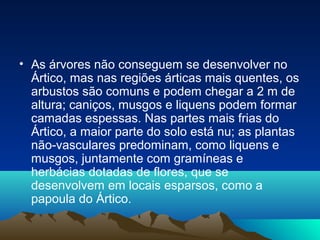 • As árvores não conseguem se desenvolver no
Ártico, mas nas regiões árticas mais quentes, os
arbustos são comuns e podem chegar a 2 m de
altura; caniços, musgos e liquens podem formar
camadas espessas. Nas partes mais frias do
Ártico, a maior parte do solo está nu; as plantas
não-vasculares predominam, como liquens e
musgos, juntamente com gramíneas e
herbácias dotadas de flores, que se
desenvolvem em locais esparsos, como a
papoula do Ártico.
 