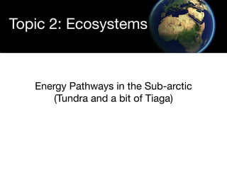 Topic 2: Ecosystems



   Energy Pathways in the Sub-arctic
       (Tundra and a bit of Tiaga)
 