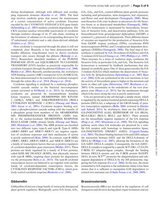 Hormone cross-talk and root growth  |  Page 3 of 9
during development, although with different and overlap-
ping expression domains (Kuroha et  al., 2009). The final
step involves catabolic genes that ensure the maintenance
of a correct concentration of active cytokinin. Enzymes
encoded by the CYTOKININ OXIDASE (CKX) gene family
(Schmulling et al., 2003) mediate cytokinin degradation. The
CKX enzymes catalyse irreversible inactivation of cytokinin
through oxidative cleavage of its N6
side chain, resulting in
the formation of adenine (or its corresponding derivative for
N9
-substituted cytokinin) and a side chain-derived aldehyde
(Frebòrt et al., 2011).
How cytokinin is transported through the plant is still not
completely clear. Recently, it has been demonstrated that,
besides diffusion, long-distance (root to shoot) cytokinin
transport also occurs through the phloem (Bishopp et  al.,
2011). Researchers identified members of the PURINE
PERMEASE (PUP) and EQUILIBRATE NUCLEOSIDE
TRANSPORT (ENT) families as putatively responsible for
cytokinin transport through the phloem (Gillissen et al., 2000;
Bürkle et al., 2003). Recently, another protein, the Arabidopsis
ATP-binding cassette (ABC) transporter G14 (AtABCG14),
has been demonstrated to be essential for cytokinin transport
through the xylem (Ko et al., 2014; Zhang et al., 2014).
Cytokinin signalling is mediated by a multistep phospho-
transfer cascade similar to the bacterial two-component
system (reviewed in El-Showk et  al., 2013). In Arabidopsis,
cytokinins are perceived by transmembrane histidine
kinase receptors, named ARABIDOPSIS HIS KINASE
2 (AHK2), AHK3, and AHK4/WOODENLEG (WOL)/
CYTOKININ RESPONSE 1 (CRE1) (Hwang and Sheen,
2001; Inoue et  al., 2001). Cytokinin–receptor binding acti-
vates a phosphorylation cascade ending with the transfer of
a phosphate group from members of the ARABIDOPSIS
HIS PHOSPHOTRANSFER PROTEIN (AHP) fam-
ily to the nuclear-localized ARABIDOPSIS RESPONSE
REGULATOR (ARR) protein family (Hwang and Sheen,
2001; Hutchison et al., 2006). The ARR proteins are classified
into two different types, type-A and type-B. Type-A ARRs
(ARR3–ARR9 and ARR15–ARR17) are negative regula-
tors of cytokinin responses and their mechanism of action
is poorly understood (Kim, 2008). In contrast, type-B ARRs
(ARR1, ARR2, ARR10–ARR14, and ARR18–ARR21) are
a family of transcription factors that act as positive regulators
of cytokinin-dependent gene expression (Muller, 2011). These
proteins are finely regulated by a family of F-box proteins,
called KISS ME DEADLY (KMD), that physically interact
with type-B ARRs, targeting these proteins for degradation
via the proteasome (Kim et al., 2013). The type-B cytokinin
transcription factors are believed to act together with another
family of cytokinin-dependent transcription factors, the
CYTOKININ RESPONSE FACTORs (CRFs), which posi-
tively control cytokinin response (Rashotte et al., 2006).
Gibberellin
Gibberellins (GAs) are a large family of tetracyclic diterpenoid
plant growth regulators. Biologically active GA forms, GA1,
GA3, GA4, and GA7, control different plant growth processes
including seed germination, stem elongation, leaf expansion,
and flower and seed development (Yamaguchi, 2008). Many
non-bioactive GAs exist in plants as precursors for the bioac-
tive forms or as deactivated metabolites (Yamaguchi, 2008).
The GA homeostasis is maintained by biosynthesis, forma-
tion of bioactive GAs, and deactivation pathways. GAs are
biosynthesized from geranylgeranyl diphosphate (GGDP), a
common C20 precursor of diterpenoids. Three different classes
of enzymes are required for the production of bioactive GAs
from GGDP: terpene synthases (TPSs), cytochrome P450
monooxygenases (P450s), and 2-oxoglutarate-dependent diox-
ygenases (2ODDs) (Yamaguchi, 2008). The final step of bio-
synthesis is catalysed by GA 20-oxidases (GA20oxs) and GA
3-oxidases (GA3oxs) (Chiang et al., 1995; Phillips et al., 1995).
These enzymes, by a series of oxidation steps, synthesize the
bioactive GAs, in particular GA4 and GA1. The bioactive GA
homeostasis is sustained by feedback mechanisms that also
depend on catabolic genes. One of these genes encodes the GA
2-oxidase (GA2ox) which mediates the deactivation of bioac-
tive GAs by 2β-hydroxylation (Schomburg et al., 2003; Rieu
et al., 2008). GAs are synthesized in the root meristem; in fact
the activity of biosynthetic genes is higher in the meristem and
lower in other cell types (Silverstone, 1997; Birnbaum et al.,
2003). GAs accumulate in the endodermis of the root elon-
gation zone (Shani et al., 2013), but the mechanism through
which GAs move along the root is poorly understood.
GAs are perceived in the cell through a simple circuit, which
is regulated by the nuclear-localized growth-repressing DELLA
proteins (DELLAs), a subgroup of the GRAS family of puta-
tive transcription regulators (Bolle, 2004; reviewed in Davière
and Achard, 2013). In Arabidopsis, there are five DELLAs:
GA-INSENSITIVE (GAI), REPRESSOR OF GA (RGA),
RGA-LIKE1 (RGL1), RGL2, and RGL3. These proteins
are the intracellular negative regulators of the GA response
(Peng et al., 1997; Silverstone et al., 1998). The GA signalling
pathway starts when GA molecules are perceived by a solu-
ble GA receptor with homology to human-sensitive lipase,
GA-INSENSITIVE DWARF1 (GID1) (Ueguchi-Tanaka
et al., 2005). The direct binding between GAs and GID1 induces
the interaction between GID1 and the DELLA-domain of
DELLAs (Willige et al., 2007), allowing the formation of the
GA–GID1–DELLA complex. Consequently, the GA–GID1–
DELLA complex is targeted by a specific SCF (SK1, CULLIN,
F-BOX) E3 ubiquitin-ligase complex, through the binding
between DELLA protein and the F-BOX protein SLEEPY
(SLY). In turn, SCFSLY
promotes the ubiquitinylation and sub-
sequent degradation of DELLA by the 26S proteasome, trig-
gering the GA response (Fu et al., 2004). In the root, the tissue
committed to GA response is the endodermis where it has been
shown that it is sufficient to manipulate GAI degradation to
control root meristem size (Ubeda-Tomas et al., 2008, 2009).
Brassinosteroids
Brassinosteroids (BRs) are involved in the regulation of cell
elongation and division during plant organ formation and are
atRajivGandhiCentreforBiotechnology(RGCB)onSeptember13,2015http://jxb.oxfordjournals.org/Downloadedfrom
 