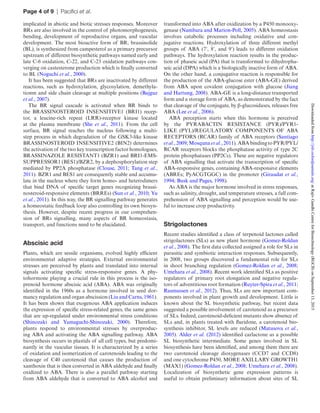 Page 4 of 9 | Pacifici et al.
implicated in abiotic and biotic stresses responses. Moreover
BRs are also involved in the control of photomorphogenesis,
bending, development of reproductive organs, and vascular
development. The most bioactive form of BR, brassinolide
(BL), is synthesized from campesterol as a primary precursor
upstream of different biosynthetic pathways named early and
late C-6 oxidation, C-22, and C-23 oxidation pathways con-
verging on castesterone production which is finally converted
to BL (Noguchi et al., 2000).
It has been suggested that BRs are inactivated by different
reactions, such as hydroxylation, glycosylation, demethyla-
tionm and side chain cleavage at multiple positions (Bajguz
et al., 2007).
The BR signal cascade is activated when BR binds to
the BRASSINOSTEROID INSENSITIVE1 (BRI1) recep-
tor, a leucine-rich repeat (LRR)-receptor kinase located
at the plasma membrane (She et  al., 2011). From the cell
surface, BR signal reaches the nucleus following a multi-
step process in which degradation of the GSK3-like kinase
BRASSINOSTEROID INSENSITIVE2 (BIN2) determines
the activation of the two key transcription factor homologues,
BRASSINAZOLE RESISTANT1 (BZR1) and BRI1-EMS-
SUPPRESSOR1 (BES1)/BZR2, by a dephosphorylation step
mediated by PP2A phosphatase (Clouse, 2011; Tang et al.,
2011). BZR1 and BES1 are consequently stable and accumu-
late in the nucleus where they form homo- and heterodimers
that bind DNA of specific target genes recognizing brassi-
nosteroid-responsive elements (BRREs) (Sun et al., 2010; Yu
et al., 2011). In this way, the BR signalling pathway generates
a homeostatic feedback loop also controlling its own biosyn-
thesis. However, despite recent progress in our comprehen-
sion of BRs signalling, many aspects of BR homeostasis,
transport, and functions need to be elucidated.
Abscisic acid
Plants, which are sessile organisms, evolved highly efficient
environmental adaptive strategies. External environmental
stresses are perceived by plants and translated into internal
signals activating specific stress-responsive genes. A  phy-
tohormone playing a crucial rule in this process is the iso-
prenoid hormone abscisic acid (ABA). ABA was originally
identified in the 1960s as a hormone involved in seed dor-
mancy regulation and organ abscission (Liu and Carns, 1961).
It has been shown that exogenous ABA application induces
the expression of specific stress-related genes, the same genes
that are up-regulated under environmental stress conditions
(Shinozaki and Yamaguchi-Shinozaki, 2000). Therefore,
plants respond to environmental stresses by overproduc-
ing ABA and activating the ABA signalling pathway. ABA
biosynthesis occurs in plastids of all cell types, but predomi-
nantly in the vascular tissues. It is characterized by a series
of oxidation and isomerization of carotenoids leading to the
cleavage of C40 carotenoid that causes the production of
xanthoxin that is then converted in ABA aldehyde and finally
oxidized to ABA. There is also a parallel pathway starting
from ABA aldehyde that is converted to ABA alcohol and
transformed into ABA after oxidization by a P450 monooxy-
genase (Nambara and Marion-Poll, 2005). ABA homeostasis
involves catabolic processes including oxidative and con-
jugative reactions. Hydroxylation of three different methyl
groups of ABA (7′, 8′, and 9′) leads to different oxidation
pathways. The hydroxylation reaction results in the produc-
tion of phaseic acid (PA) that is transformed to dihydropha-
seic acid (DPA) which is a biologically inactive form of ABA.
On the other hand, a conjugative reaction is responsible for
the production of the ABA-glucose ester (ABA-GE) derived
from ABA upon covalent conjugation with glucose (Jiang
and Hartung, 2008). ABA-GE is a long-distance transported
form and a storage form of ABA, as demonstrated by the fact
that cleavage of the conjugate, by β-glucosidases, releases free
ABA (Lee et al., 2006).
ABA perception starts when this hormone is perceived
by the PYRABACTIN RESISTANCE (PYR)/PYR1-
LIKE (PYL)/REGULATORY COMPONENTS OF ABA
RECEPTORS (RCAR) family of ABA receptors (Santiago
et al.,2009;Mosqunaet al.,2011).ABAbindingtoPYR/PYL/
RCAR receptors blocks the phosphatase activity of type 2C
protein phosphatases (PP2Cs). These are negative regulators
of ABA signalling that activate the transcription of specific
ABA-responsive genes, containing ABA-responsive elements
(ABREs; PyACGTGGC) in the promoter (Giraudat et al.,
1994; Busk and Pages, 1998).
As ABA is the major hormone involved in stress responses,
such as salinity, drought, and temperature stresses, a full com-
prehension of ABA signalling and perception would be use-
ful to increase crop productivity.
Strigolactones
Recent studies identified a class of terpenoid lactones called
strigolactones (SLs) as new plant hormone (Gomez-Roldan
et al., 2008). The first data collected assigned a role for SLs in
parasitic and symbiotic interaction responses. Subsequently,
in 2008, two groups discovered a fundamental role for SLs
in shoot branching regulation (Gomez-Roldan et al., 2008;
Umehara et al., 2008). Recent work identified SLs as positive
regulators of primary root elongation and negative regula-
tors of adventitious root formation (Ruyter-Spira et al., 2011;
Rasmussen et al., 2012). Thus, SLs are new important com-
ponents involved in plant growth and development. Little is
known about the SL biosynthetic pathway, but recent data
suggested a possible involvement of carotenoid as a precursor
of SLs. Indeed, carotenoid-deficient mutants show absence of
SLs and, in plants treated with fluridone, a carotenoid bio-
synthesis inhibitor, SL levels are reduced (Matusova et al.,
2005). Alder et al. (2012) identified carlactone as a possible
SL biosynthetic intermediate. Some genes involved in SL
biosynthesis have been identified, and among them there are
two carotenoid cleavage dioxygenases (CCD7 and CCD8)
and one cytochrome P450, MORE AXILLARY GROWTH1
(MAX1) (Gomez-Roldan et al., 2008; Umehara et al., 2008).
Localization of biosynthetic gene expression patterns is
useful to obtain preliminary information about sites of SL
atRajivGandhiCentreforBiotechnology(RGCB)onSeptember13,2015http://jxb.oxfordjournals.org/Downloadedfrom
 