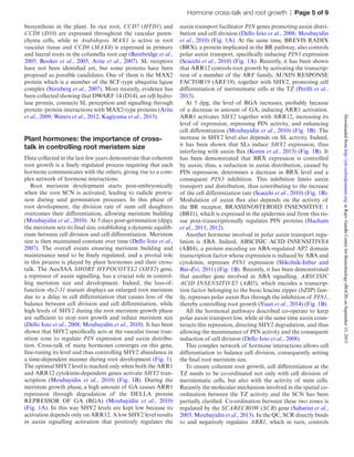 Hormone cross-talk and root growth  |  Page 5 of 9
biosynthesis in the plant. In rice root, CCD7 (HTD1) and
CCD8 (D10) are expressed throughout the vascular paren-
chyma cells, while in Arabidopsis MAX1 is active in root
vascular tissue and CCD8 (MAX4) is expressed in primary
and lateral roots in the columella root cap (Bainbridge et al.,
2005; Booker et al., 2005; Arite et al., 2007). SL receptors
have not been identified yet, but some proteins have been
proposed as possible candidates. One of them is the MAX2
protein which is a member of the SCF-type ubiquitin ligase
complex (Stirnberg et al., 2007). More recently, evidence has
been collected showing that DWARF 14 (D14), an α/β hydro-
lase protein, connects SL perception and signalling through
protein–protein interactions with MAX2-type proteins (Arite
et al., 2009; Waters et al., 2012; Kagiyama et al., 2013).
Plant hormones: the importance of cross-
talk in controlling root meristem size
Data collected in the last few years demonstrate that coherent
root growth is a finely regulated process requiring that each
hormone communicates with the others, giving rise to a com-
plex network of hormone interactions.
Root meristem development starts post-embryonically
when the root SCN is activated, leading to radicle protru-
sion during seed germination processes. In this phase of
root development, the division rate of stem cell daughters
overcomes their differentiation, allowing meristem building
(Moubayidin et al., 2010). At 5 days post-germination (dpg),
the meristem sets its final size, establishing a dynamic equilib-
rium between cell division and cell differentiation. Meristem
size is then maintained constant over time (Dello Ioio et al.,
2007). The overall events ensuring meristem building and
maintenance need to be finely regulated, and a pivotal role
in this process is played by plant hormones and their cross-
talk. The Aux/IAA SHORT HYPOCOTYL2 (SHY2) gene,
a repressor of auxin signalling, has a crucial role in control-
ling meristem size and development. Indeed, the loss-of-
function shy2-31 mutant displays an enlarged root meristem
due to a delay in cell differentiation that causes loss of the
balance between cell division and cell differentiation, while
high levels of SHY2 during the root meristem growth phase
are sufficient to stop root growth and reduce meristem size
(Dello Ioio et al., 2008; Moubayidin et al., 2010). It has been
shown that SHY2 specifically acts at the vascular tissue tran-
sition zone to regulate PIN expression and auxin distribu-
tion. Cross-talk of many hormones converges on this gene,
fine-tuning its level and thus controlling SHY2 abundance in
a time-dependent manner during root development (Fig. 1).
The optimal SHY2 level is reached only when both the ARR1
and ARR12 cytokinin-dependent genes activate SHY2 tran-
scription (Moubayidin et  al., 2010) (Fig.  1B). During the
meristem growth phase, a high amount of GA causes ARR1
repression through degradation of the DELLA protein
REPRESSOR OF GA (RGA) (Moubayidin et  al., 2010)
(Fig. 1A). In this way SHY2 levels are kept low because its
activation depends only on ARR12. A low SHY2 level results
in auxin signalling activation that positively regulates the
auxin transport facilitator PIN genes promoting auxin distri-
bution and cell division (Dello Ioio et al., 2008; Moubayidin
et al., 2010) (Fig. 1A). At the same time, BREVIS RADIX
(BRX), a protein implicated in the BR pathway, also controls
polar auxin transport, specifically inducing PIN3 expression
(Scacchi et al., 2010) (Fig. 1A). Recently, it has been shown
that ARR12 controls root growth by activating the transcrip-
tion of a member of the ARF family, AUXIN RESPONSE
FACTOR19 (ARF19), together with SHY2, promoting cell
differentiation of meristematic cells at the TZ (Perilli et al.,
2013).
At 5 dpg, the level of RGA increases, probably because
of a decrease in amount of GA, inducing ARR1 activation.
ARR1 activates SHY2 together with ARR12, increasing its
level of expression, repressing PIN activity, and enhancing
cell differentiation (Moubayidin et al., 2010) (Fig. 1B). The
increase in SHY2 level also depends on SL activity. Indeed,
it has been shown that SLs induce SHY2 expression, thus
interfering with auxin flux (Koren et al., 2013) (Fig. 1B). It
has been demonstrated that BRX expression is controlled
by auxin; thus, a reduction in auxin distribution, caused by
PIN repression, determines a decrease in BRX level and a
consequent PIN3 inhibition. This inhibition limits auxin
transport and distribution, thus contributing to the increase
of the cell differentiation rate (Scacchi et al., 2010) (Fig. 1B).
Modulation of auxin flux also depends on the activity of
the BR receptor, BRASSINOSTEROID INSENSITIVE 1
(BRI1), which is expressed in the epidermis and from this tis-
sue post-transcriptionally regulates PIN proteins (Hacham
et al., 2011, 2012).
Another hormone involved in polar auxin transport regu-
lation is ABA. Indeed, ABSCISIC ACID INSENSITIVE4
(ABI4), a protein encoding an ABA-regulated AP2 domain
transcription factor whose expression is induced by ABA and
cytokinin, represses PIN1 expression (Shkolnik-Inbar and
Bar-Zvi, 2011) (Fig. 1B). Recently, it has been demonstrated
that another gene involved in ABA signalling, ABSCISIC
ACID INSENSITIVE5 (ABI5), which encodes a transcrip-
tion factor belonging to the basic leucine zipper (bZIP) fam-
ily, represses polar auxin flux through the inhibition of PIN1,
thereby controlling root growth (Yuan et al., 2014) (Fig. 1B).
All the hormonal pathways described co-operate to keep
polar auxin transport low, while at the same time auxin coun-
teracts this repression, directing SHY2 degradation, and thus
allowing the maintenance of PIN activity and the consequent
induction of cell division (Dello Ioio et al., 2008).
This complex network of hormone interactions allows cell
differentiation to balance cell division, consequently setting
the final root meristem size.
To ensure coherent root growth, cell differentiation at the
TZ needs to be co-ordinated not only with cell division of
meristematic cells, but also with the activity of stem cells.
Recently the molecular mechanism involved in the spatial co-
ordination between the TZ activity and the SCN has been
partially clarified. Co-ordination between these two zones is
regulated by the SCARECROW (SCR) gene (Sabatini et al.,
2003; Moubayidin et al., 2013). In the QC, SCR directly binds
to and negatively regulates ARR1, which in turn, controls
atRajivGandhiCentreforBiotechnology(RGCB)onSeptember13,2015http://jxb.oxfordjournals.org/Downloadedfrom
 