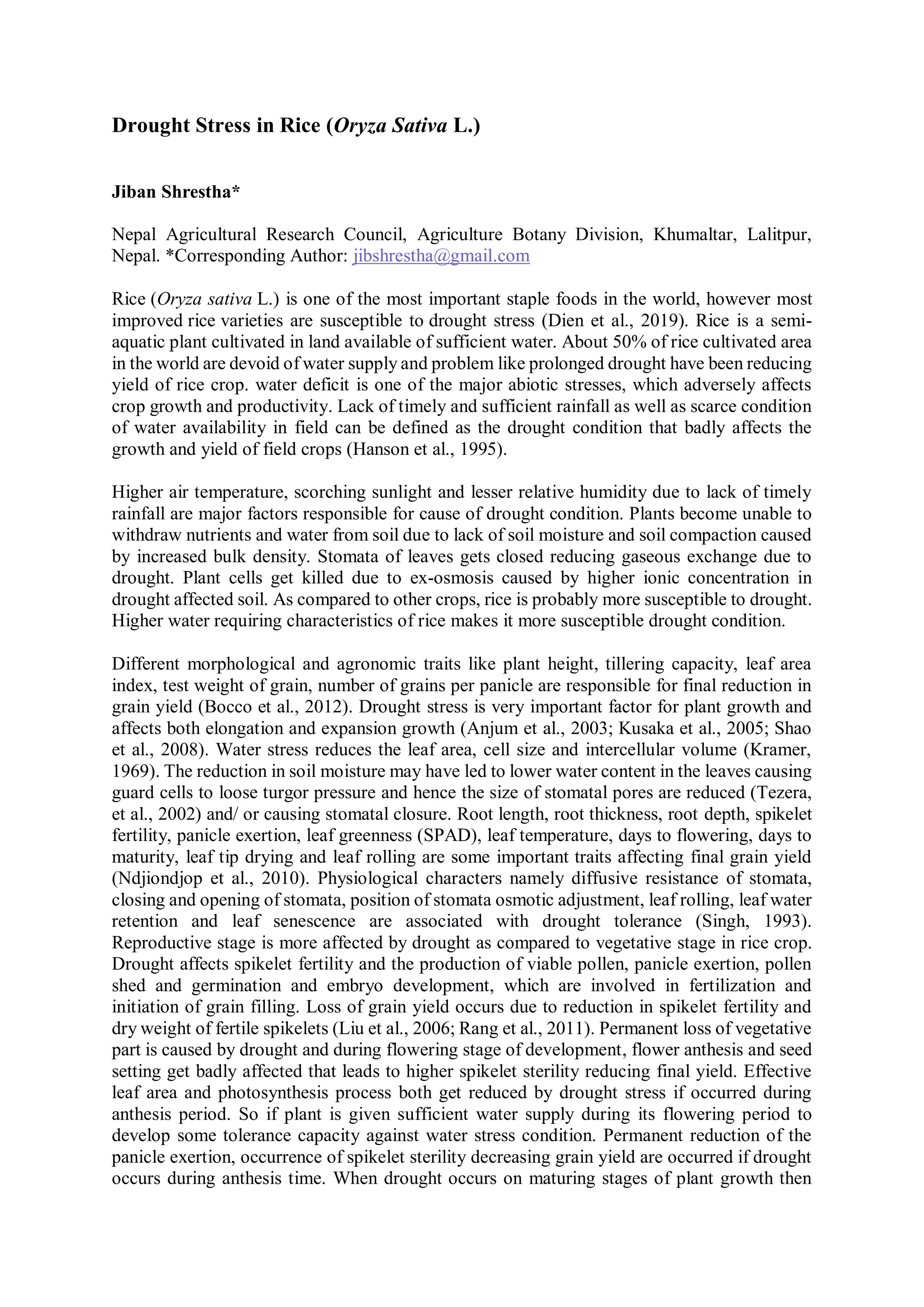 Drought Stress in Rice (Oryza Sativa L.) | PDF