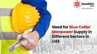 Need for Blue Collar Manpower Supply in Different Sectors in UAE 