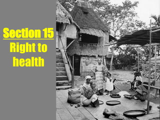 Section 15
 Right to
  health
 