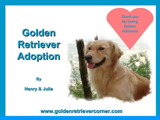 Thank you for loving Golden retrievers Golden Retriever Adoption By Henry & Julia www.goldenretrievercorner.com 