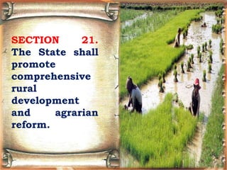 SECTION 21.
The State shall
promote
comprehensive
rural
development
and agrarian
reform.
 