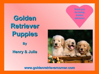 Golden Retriever Puppies By Henry & Julia www.goldenretrievercorner.com Thank you for loving Golden retrievers 