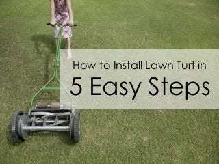How to Install Lawn Turf in

5 Easy Steps
 
