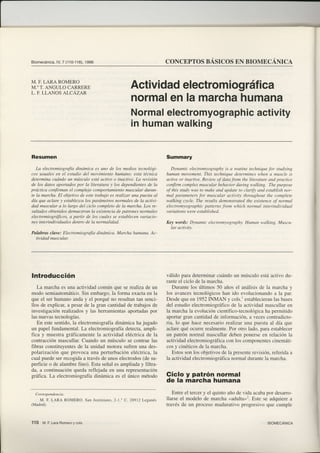 B i o m e c á n i c aV , 7 ( 1 1 0 - 1 1 6 ) ,9 9 6
                    l,                     1                                                               BÁSICOS BIOMECÁNICA
                                                                                                   CONCEPTOS      EN


M. F. LARA ROMERO
M." T. ANGULO CARRERE
L. F. LLANOS ALCÁZAR
                                                                          Actividadelectrom ráfica
                                                                                           iog
                                                                          normal la marcha
                                                                                 en          humana
                                                                          Normalelectromyographic
                                                                                               activity
                                                                          in humanwalking

Resumen                                                                                            Summary
   La electromiografía dinámica es uno de los medios tecnológi-                                       Dynamic electrom,-ography is a routine technique Jor studting
cos usuales en el estudio del movimiento humano; esta técnica                                      human movement. This technique determines wlten a muscle is
determina cuándo un músculo está activo o inactivo. I¡t revisión                                   active or inactive. Review of data from the literatttre and practice
de los datos aportados por la literatura y los dependíentes de la                                  confirm compLexmuscular behavíor during walking. The purpose
práctica conJirman el complejo comportamiento muscular duran-                                      of this studv was to make and update to clarifi and establish nor-
te la marcha. El objetivo de este trabajo es realizar una puesta al                                mal parameters .for muscular activit,r- throughout the contplete
día que aclare y establezca los parámetros normales de La activi-                                  walking cycle. The results demonstrated the existence of normaL
dad muscular a Io largo del ciclo completo de la marcha. Los re-                                   electromyographic patterns from whích normal interindividual
sultados obtenídos demuestran la existencia de patrones normaLes                                   variations we re established.
electromiogrdficos, a partir de los cuales se establecen variacio-
nes ínterindividuales dentro de la normalidad.                                                     Key words: Dynamic electromyography. Human walking. Muscu-
                                                                                                     lar activitt.
Palabras clave: Electromiografía                      dinámica. Marcha humana. Ac-
  tividad muscular.




Introducción                                                                                       válido para determinarcuándoun músculo estáactivo du-
                                                                                                   ranteel ciclo de la marcha.
   La marchaes una actividadcomún que se realizade un                                                 Durante los últimos 50 años el análisisde la marchay
modo semiautomático. embargo,la forma exactaen la
                        Sin                                                                        los avancestecnológicoshan ido evolucionandoa la par.
que el ser humano anday el porqué no resultantan senci-                                            Desdeque en 1952INMAN y cols.' establecieran baseslas
llos de explicar,a pesarde la gran cantidadde trabajosde                                           del estudioelectromiográfico la actividadmascullaren
                                                                                                                                 de
investigaciónrealizadosy las herramientas    aportadas    por                                      la marchala evolucióncientífico-tecnológica permitido
                                                                                                                                                 ha
las nuevastecnologías.                                                                             aportargran cantidadde información,a vecescontradicto-
   En estesentido,la electromiografía   dinámicaha jugado                                          ria, lo que hace necesartorealtzar una puesta al día que
un papel fundamental. La electromiografía detecta,ampli-                                           aclarequé ocurrerealmente.   Por otro lado, para establecer
fica y muestra gráficamente la actividad eléctrica de la                                           un patrón normal mascullardeben ponerseen relación la
contracción mascullar. Cuando un músculo se contrae las                                            actividadelectromiográfica los componentes
                                                                                                                               con                  cinemáti-
fibras constituyentesde la unidad motora sufren una des-                                           cos y cinéticosde la marcha.
polarización que provoca una perturbación eléctrica, la                                               Estosson los objetivosde la presente revisión,referidaa
cual puedeserrecogidaa travésde unos electrodos su-  (de                                           la actividadelectromiográfica normal duranteIa marcha.
perficie o de alambre fino). Esta señal es ampliada y filtra-
da, a continuaciónqueda reflejada en una representación
gráfica. La electromiografía dinámica es el único método                                           Giclo y patrón normal
                                                                                                   de la marcha humana

   Corespondencia:                                                                                    Entre el tercery el quinto año de vida acabapor desarro-
    M . F . L A R A R O M E R O .S a n J u s t i n i a n o , - 1 . ' C . 2 8 9 1 2 L e g a n é s
                                                          2                                        llarse el modelo de marcha ,.adulta"r.Este se adquierea
(Madrid).                                                                                          través de un procesomadurativo progresivo que cumple


110                             y
         M . F L a r aR o m e r o c o l s .                                                                                                              BIOMECANICA
 