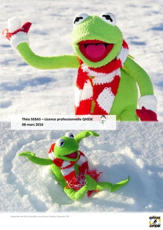Image libre de droit et publiée sous licence Creative Commons CC0
Théo SEBAS – Licence professionnelle QHSSE
08 mars 2016
 