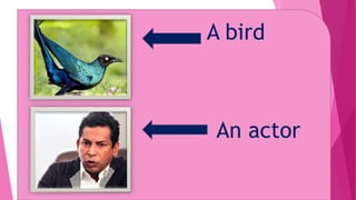 A bird
An actor
 
