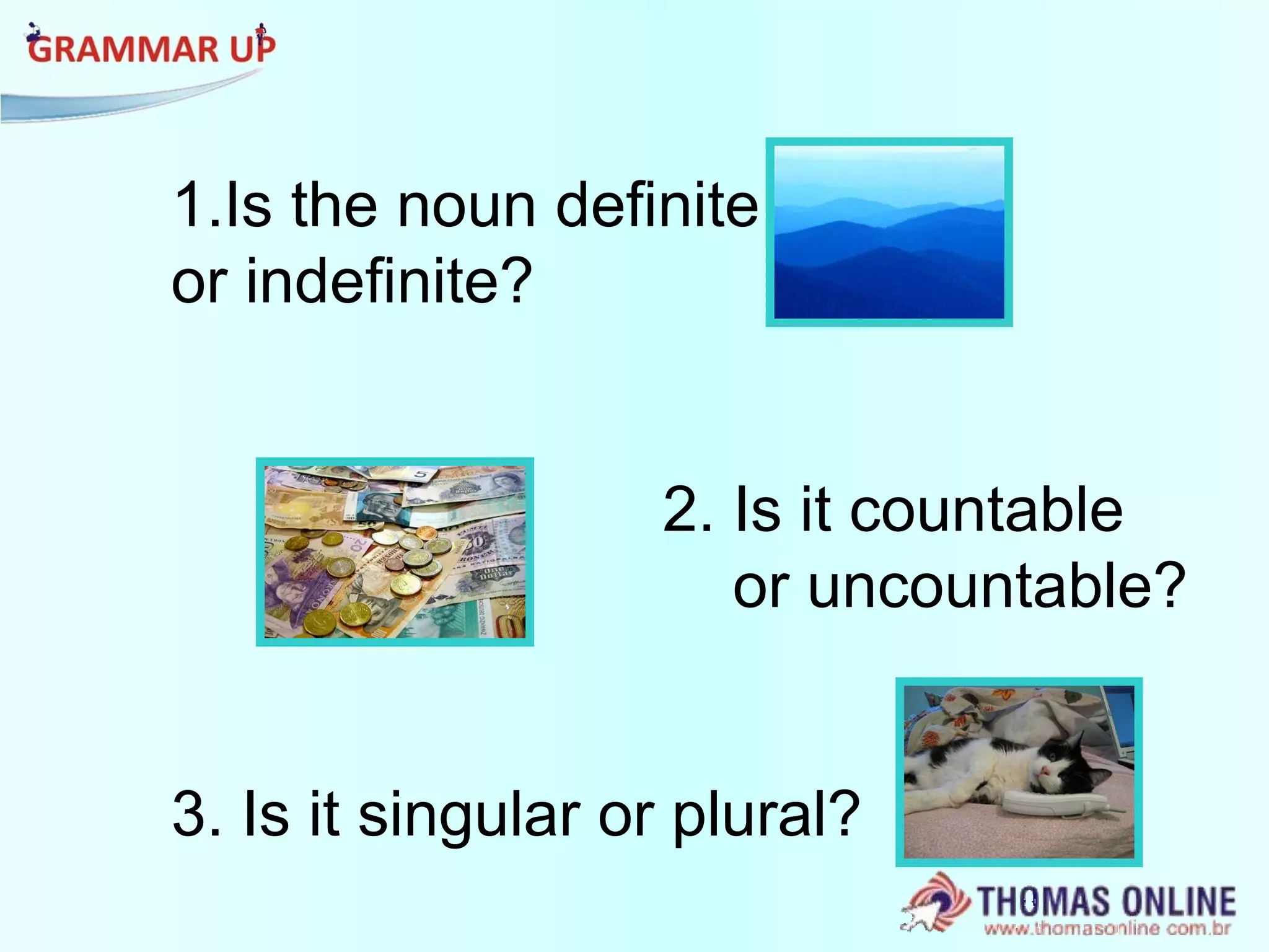 Is the noun definite  or indefinite? 2. Is it countable  or uncountable? 3. Is it singular or plural?  