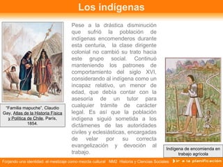 Forjando una identidad: el mestizaje como mezcla cultural NM2 Historia y Ciencias Sociales
Los indígenas
Pese a la drástic...