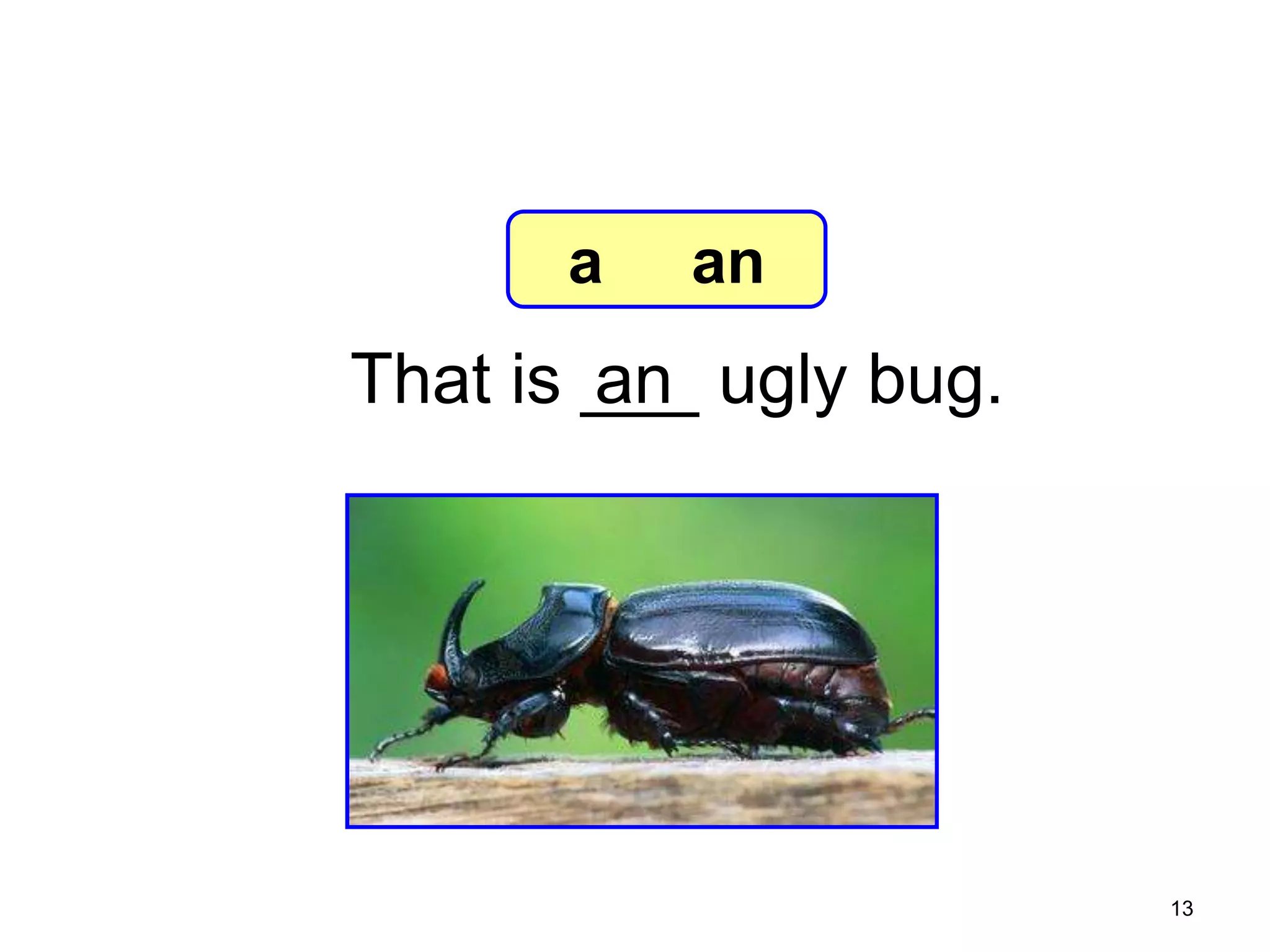7-2 Let’s Practice

a

an

an
That is ___ ugly bug.

13

 