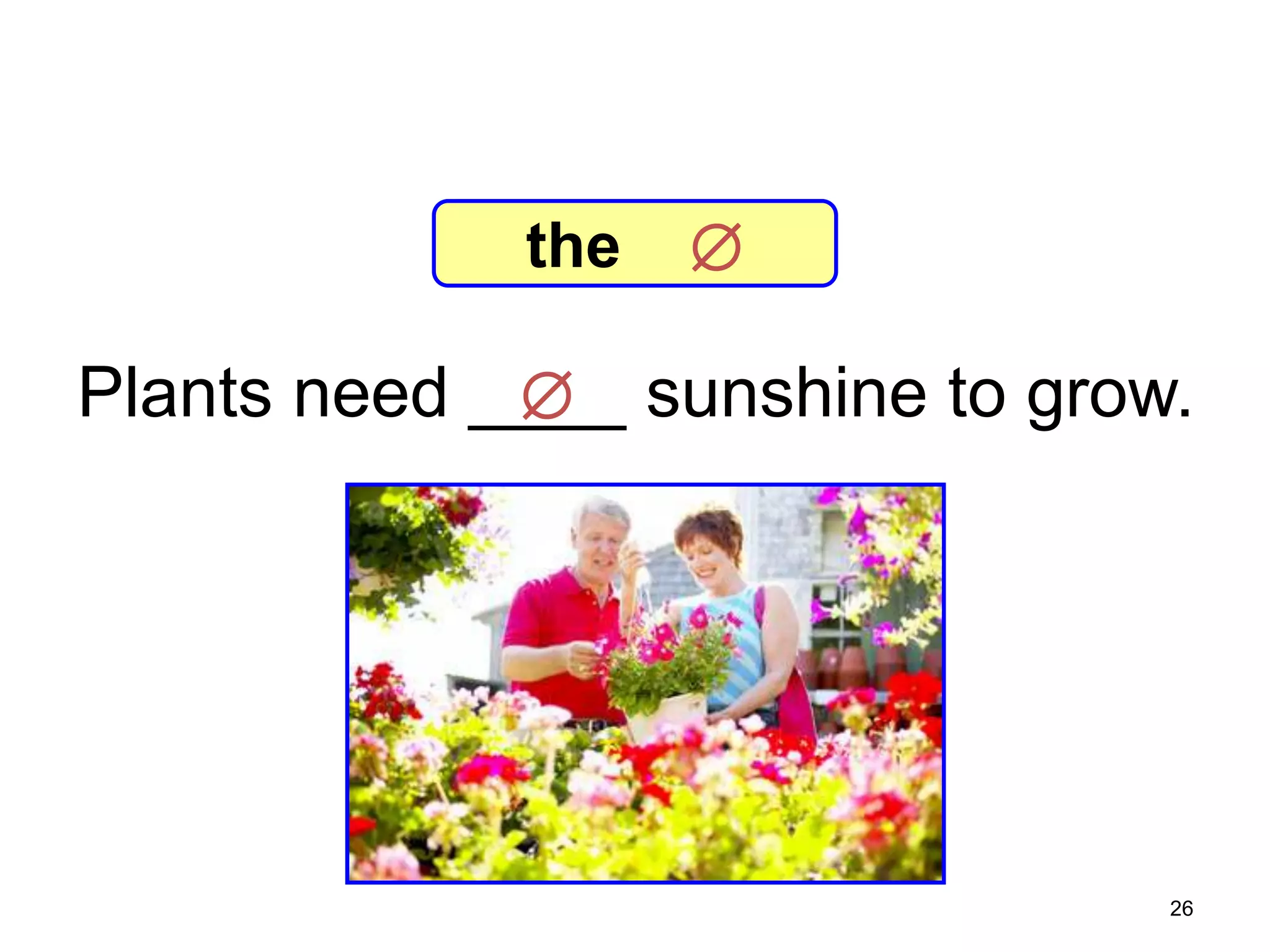 7-7 Let’s Practice

the



Plants need ____ sunshine to grow.


26

 