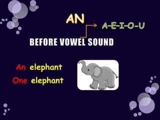 An elephant
One elephant
 