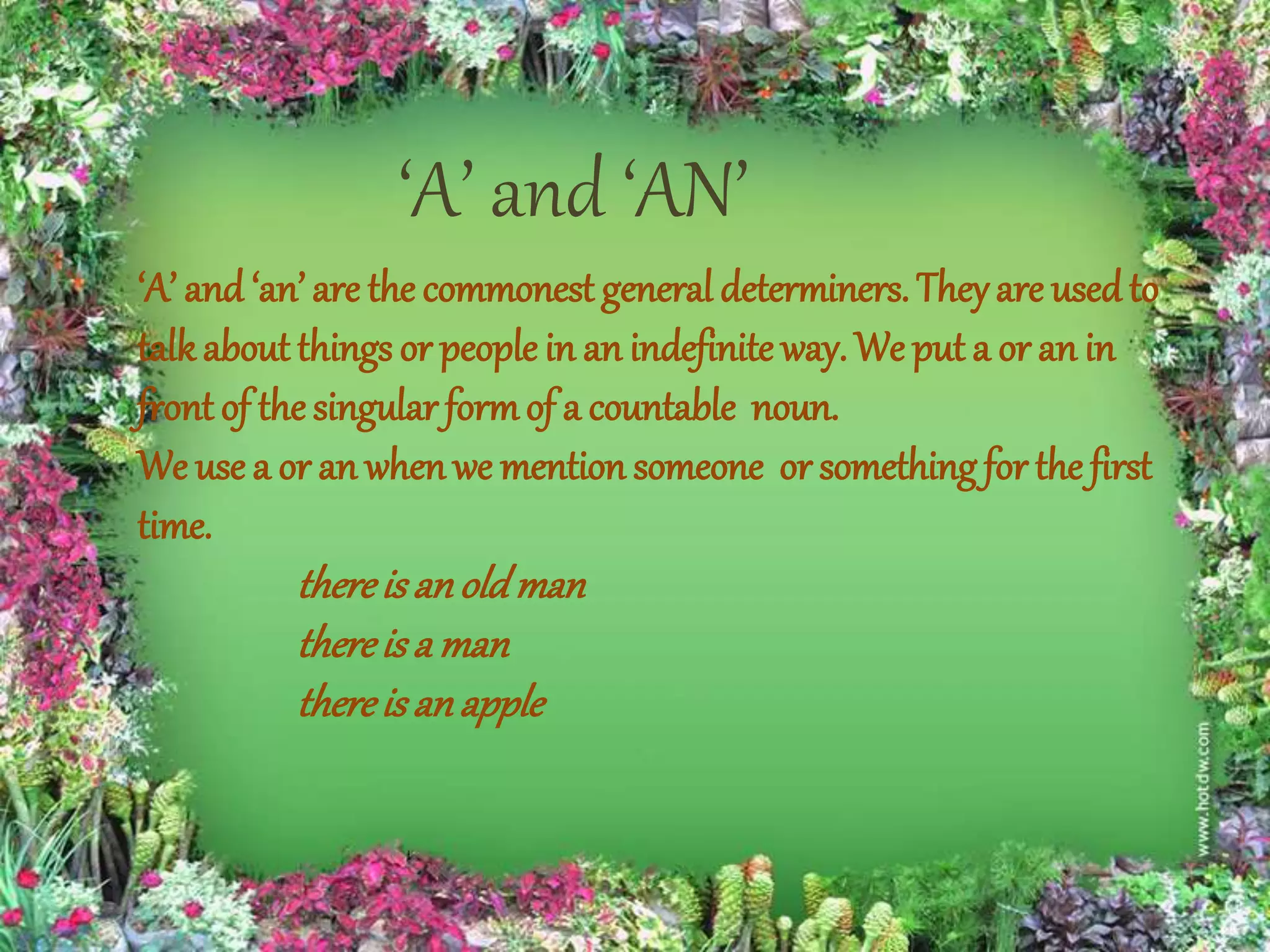 ‘A’ and ‘AN’
‘A’ and ‘an’ are the commonest general determiners. Theyare usedto
talkabout things or people in an indefinite way. We put a or an in
front of the singular formof a countable noun.
We use a or an whenwe mention someone or something for the first
time.
thereis anoldman
thereis a man
thereis anapple
 