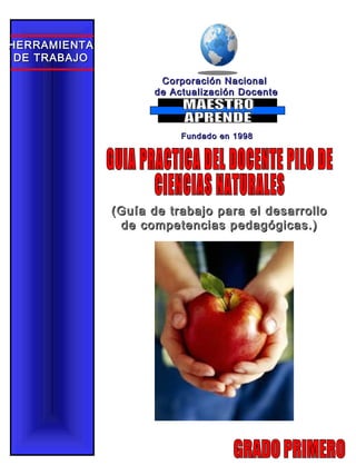 Corporación NacionalCorporación Nacional
de Actualización Docentede Actualización Docente
Fundado en 1998Fundado en 1998
HERRAMIENTAHERRAMIENTA
DE TRABAJODE TRABAJO
(Guía de trabajo para el desarrollo(Guía de trabajo para el desarrollo
de competencias pedagógicas.)de competencias pedagógicas.)
 