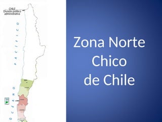 Presentación de Chile y las zonas naturales | PPT