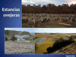 Presentación de Chile y las zonas naturales | PPT