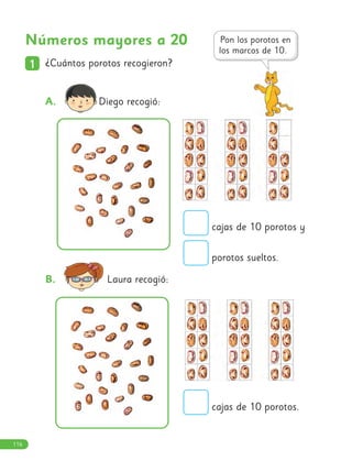 Números mayores a 20
1
1 ¿Cuántos porotos recogieron?
A. Diego recogió:
cajas de 10 porotos y
porotos sueltos.
cajas de 10 porotos.
B. Laura recogió:
116
 