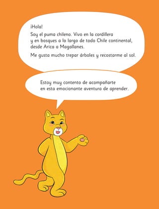 Estoy muy contento de acompañarte
en esta emocionante aventura de aprender.
¡Hola!
Soy el puma chileno. Vivo en la cordillera
y en bosques a lo largo de todo Chile continental,
desde Arica a Magallanes.
Me gusta mucho trepar árboles y recostarme al sol.
 