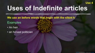 Uses of Indefinite articles​
We use an before words that begin with the silent h
Examples
• An heir
• an honest politician
Use 4
This Photo by Unknown author is licensed under CC BY-SA.
 