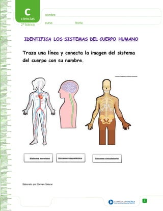 1
Traza una línea y conecta la imagen del sistema
del cuerpo con su nombre.
Elaborado por: Carmen Salazar
 