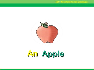 AnAn AppleApple
I.E.P «Nuestra Señora de Guadalupe»
 