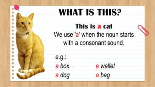 WHAT IS THIS?
This is a cat
We use 'a' when the noun starts
with a consonant sound.
e.g.:
a box.
a dog
a wallet
a bag
 