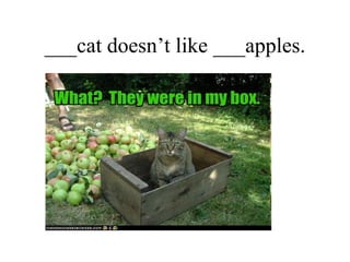 ___cat doesn’t like ___apples. 