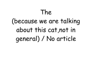 The (because we are talking about this cat,not in general) / No article 